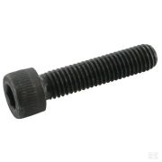 Винт цил.г. вн.6г M12x30