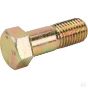 Винт М 20x55 10,9
