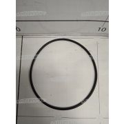 Кольцо уплотнительное насоса M100, M105, M150, M155 MacDon (Original)