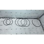 Сальник комплект, тормоз ведущего колеса M100, M105, M150, M155 MacDon (Original)