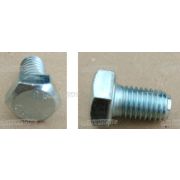 Болт М12х 20 шестигранная головка, класс 8.8 ZB, полная резьба ACTION 120-150 Sitrex