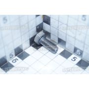 Болт М 8х 20х1,25 шестигранная головка, класс 5.8, полная резьба