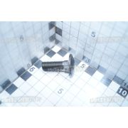 Болт М10х 30х1,5 круглая головка с квадратным подголовником, класс 5.8