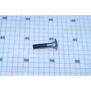 Болт М10х 45х1,5 круглая головка с квадратным подголовником, класс 5.8