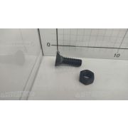 Болт М12х 40 DIN 608 (12.9) с гайкой, потайная головка с квадратным подголовником (Чехия)