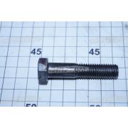 Болт М12х 55х1,75 шестигранная головка, класс 5.8