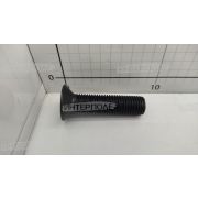 Винт М20х 80х2,5 с потайной головкой под внутренний шестигранник, класс 10,9