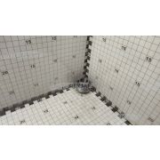 Подшипник LE204-2F (20х47х17/31) (FKL)