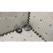 Подшипник LY205-2F (25х52х44,4) (FKL)