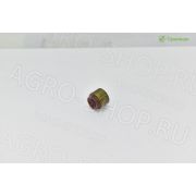 Колпачки LL480B-03019 маслосъемные LOVOL TE354, TE404