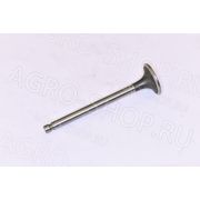 Впускной клапан 4L22BT-03005