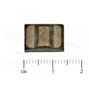 Сухарь 31029-1701171-10 синхронизатора 5-ст КПП ГАЗ-31029 ГАЗ