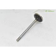 Клапан R010001-006 впускной LOVOL TD904 / TD1054 / TD1104 HUAFENG