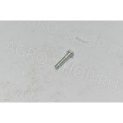 Болт 31112086 BCS Rotex R5/R6/R7/TSB