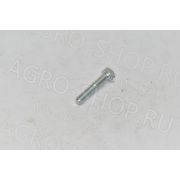 Винт М8х45 020.056 Corsa 320/350