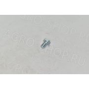 Винт M6X10 8.8 5739 ZB 020.010