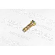 Болт М10*30-8.8-Zn.D GB21 YTO