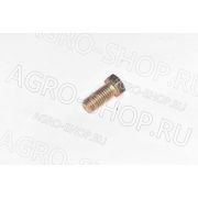 Болт М10*20-8.8-Zn.В YTO