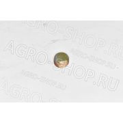 Винт NPT3/8 LR.010209 Запорный YTO