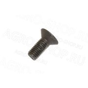 Винт 610128401 (128440) дифференциала М6х10 FARESIN CARRARO