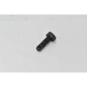 Болт 642042 CARRARO