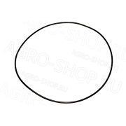 Кольцо 028498 FARESIN CARRARO