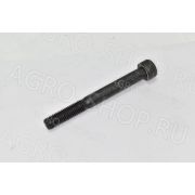 Болт 21434 CARRARO