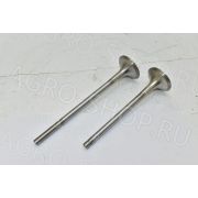 Клапан 840-1007010+840-1007012 впускной+выпускной (Турция) ТМЗ-8481.10