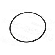 Кольцо 75-80-1,25 4F-P PTFE защитное