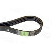 Ремень АР 1003662 (9818873 / 89818873) (Optibelt)